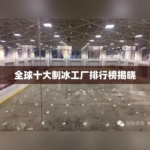 全球十大制冰工厂排行榜揭晓