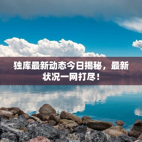 独库最新动态今日揭秘，最新状况一网打尽！