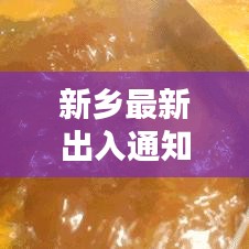 新乡最新出入通知公告，最新动态及要求一网打尽！