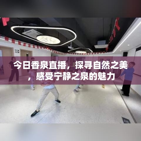 今日香泉直播，探寻自然之美，感受宁静之泉的魅力