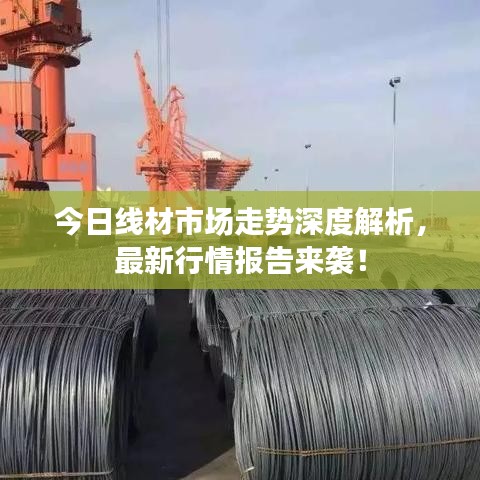 今日线材市场走势深度解析，最新行情报告来袭！