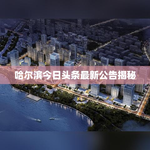 哈尔滨今日头条最新公告揭秘
