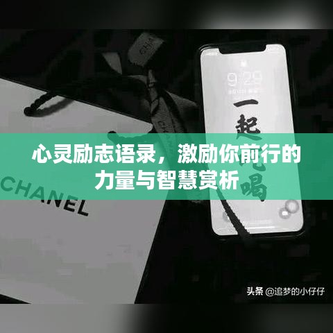 心灵励志语录，激励你前行的力量与智慧赏析