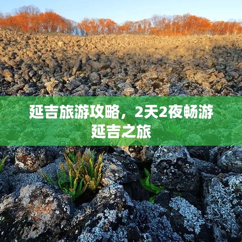 春蛙秋蝉 第2页