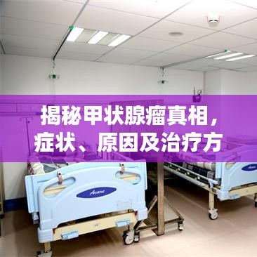 贵而贱目 第2页