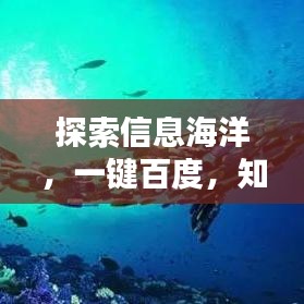 探索信息海洋，一键百度，知识尽在掌握