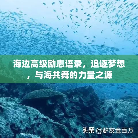 海边高级励志语录，追逐梦想，与海共舞的力量之源