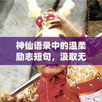 神仙语录中的温柔励志短句，汲取无尽力量与温暖