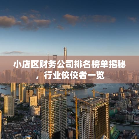 小店区财务公司排名榜单揭秘，行业佼佼者一览