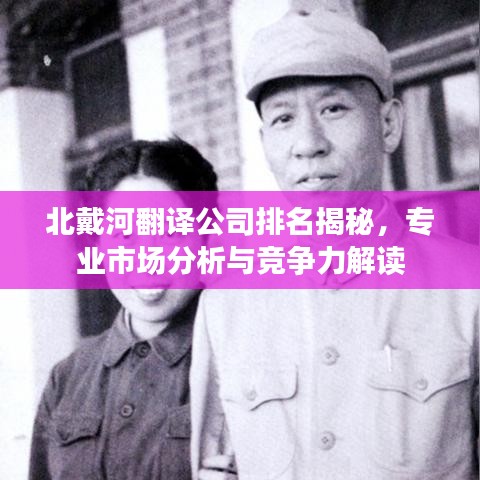 北戴河翻译公司排名揭秘，专业市场分析与竞争力解读