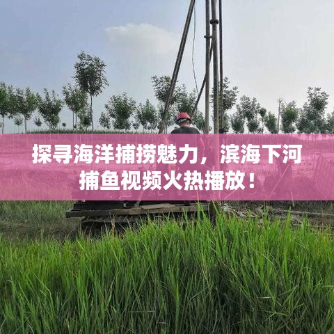 探寻海洋捕捞魅力，滨海下河捕鱼视频火热播放！