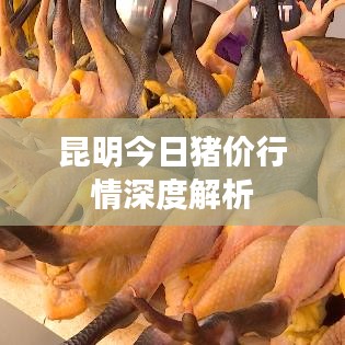 昆明今日猪价行情深度解析