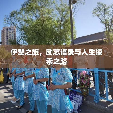 伊犁之旅，励志语录与人生探索之路