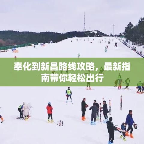 奉化到新昌路线攻略，最新指南带你轻松出行