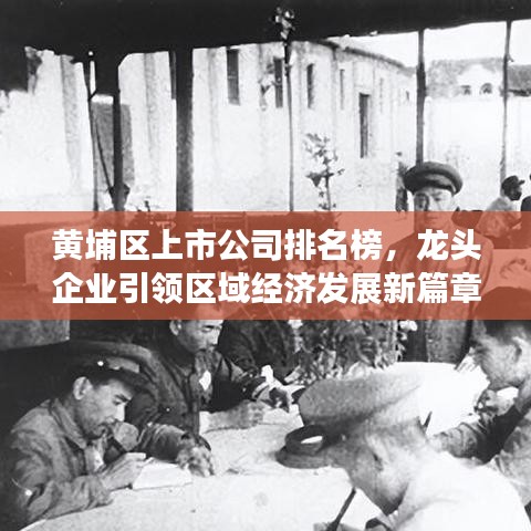 黄埔区上市公司排名榜，龙头企业引领区域经济发展新篇章