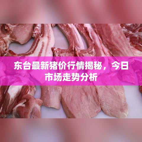 东台最新猪价行情揭秘，今日市场走势分析