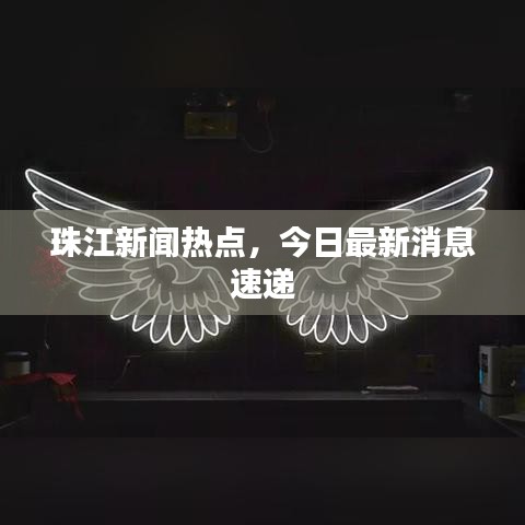 珠江新闻热点，今日最新消息速递