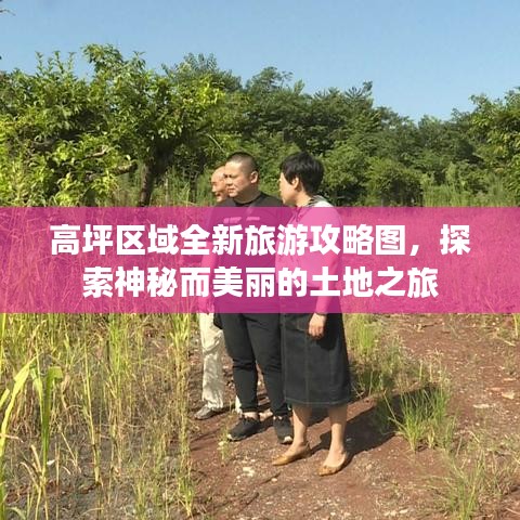 高坪区域全新旅游攻略图，探索神秘而美丽的土地之旅