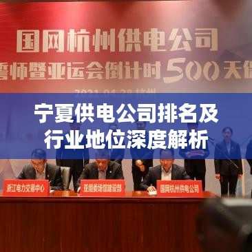宁夏供电公司排名及行业地位深度解析