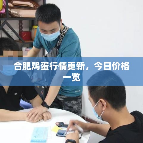 合肥鸡蛋行情更新，今日价格一览