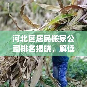 河北区居民搬家公司排名揭晓，解读优质搬家服务市场，挑选最佳服务提供者！
