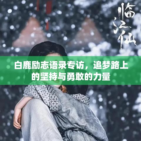 白鹿励志语录专访，追梦路上的坚持与勇敢的力量