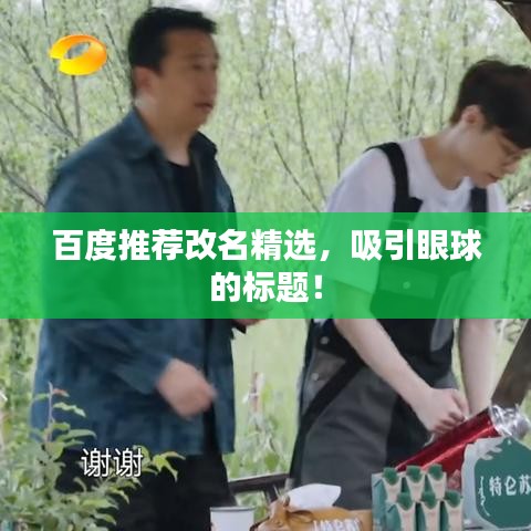 百度推荐改名精选，吸引眼球的标题！
