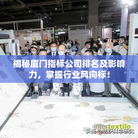 揭秘厦门指标公司排名及影响力，掌握行业风向标！