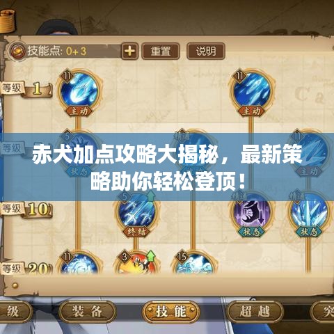 赤犬加点攻略大揭秘，最新策略助你轻松登顶！