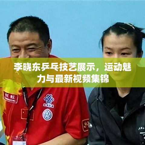 李晓东乒乓技艺展示，运动魅力与最新视频集锦