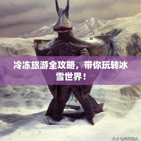 冷冻旅游全攻略，带你玩转冰雪世界！