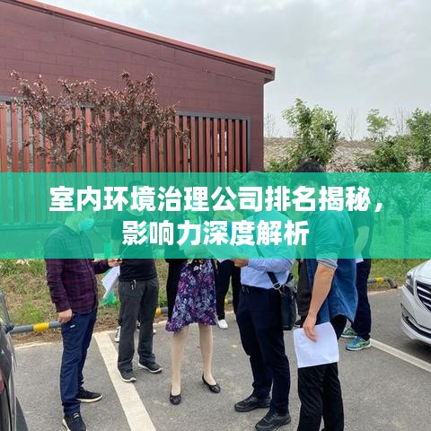 室内环境治理公司排名揭秘，影响力深度解析