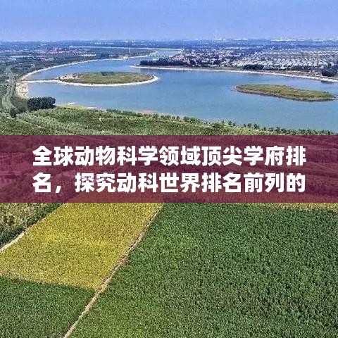 勇往直前