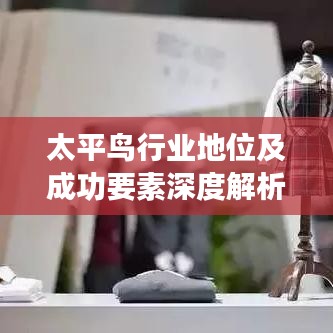 太平鸟行业地位及成功要素深度解析