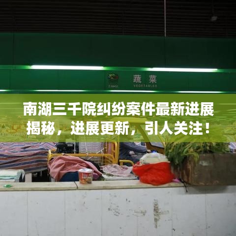 南湖三千院纠纷案件最新进展揭秘，进展更新，引人关注！