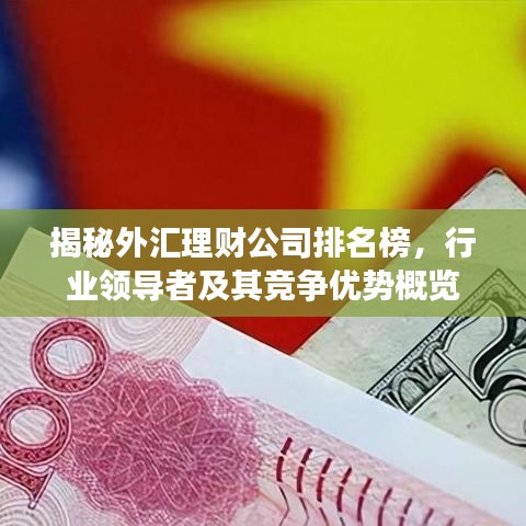揭秘外汇理财公司排名榜，行业领导者及其竞争优势概览