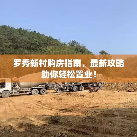 罗秀新村购房指南，最新攻略助你轻松置业！