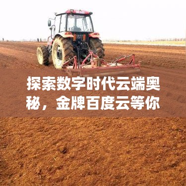 探索数字时代云端奥秘，金牌百度云等你来捡！