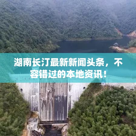 湖南长汀最新新闻头条，不容错过的本地资讯！