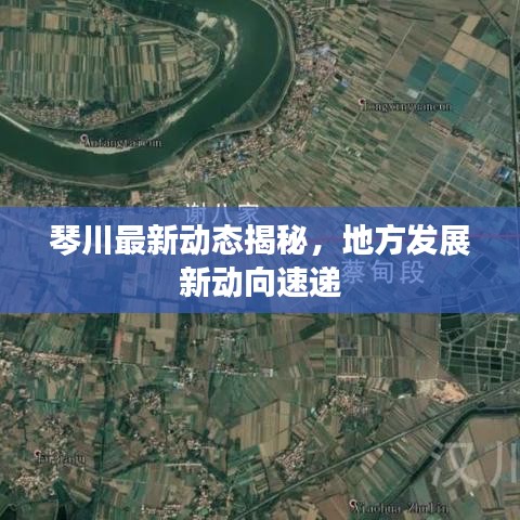 琴川最新动态揭秘，地方发展新动向速递