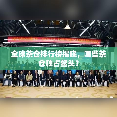 全球茶仓排行榜揭晓，哪些茶仓独占鳌头？