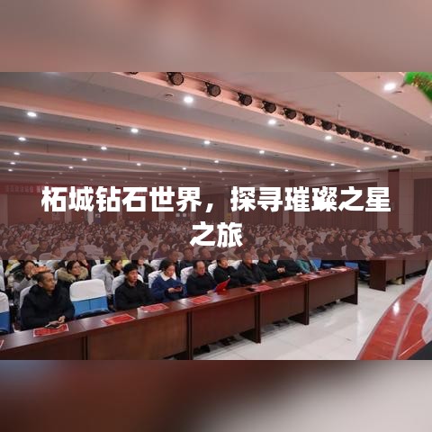 柘城钻石世界，探寻璀璨之星之旅