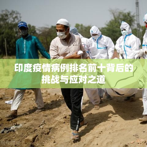 印度疫情病例排名前十背后的挑战与应对之道