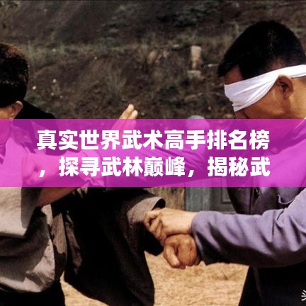 真实世界武术高手排名榜，探寻武林巅峰，揭秘武术界顶尖高手！