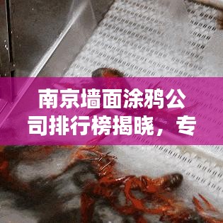 南京墙面涂鸦公司排行榜揭晓，专业团队实力比拼，创意涂鸦首选！