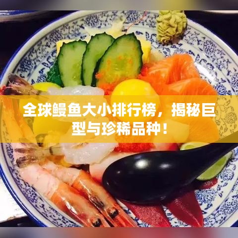 全球鳗鱼大小排行榜，揭秘巨型与珍稀品种！