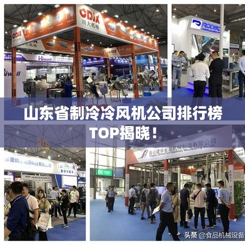 山东省制冷冷风机公司排行榜TOP揭晓！
