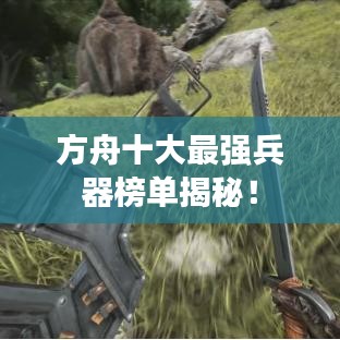 2025年4月 第11页