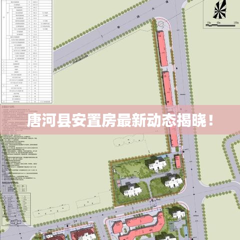 唐河县安置房最新动态揭晓！