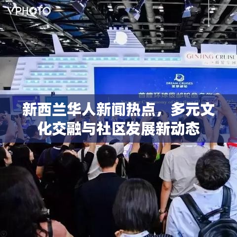 新西兰华人新闻热点，多元文化交融与社区发展新动态